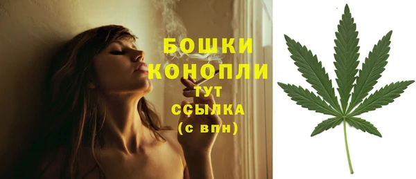 ГАЛЛЮЦИНОГЕННЫЕ ГРИБЫ Абдулино